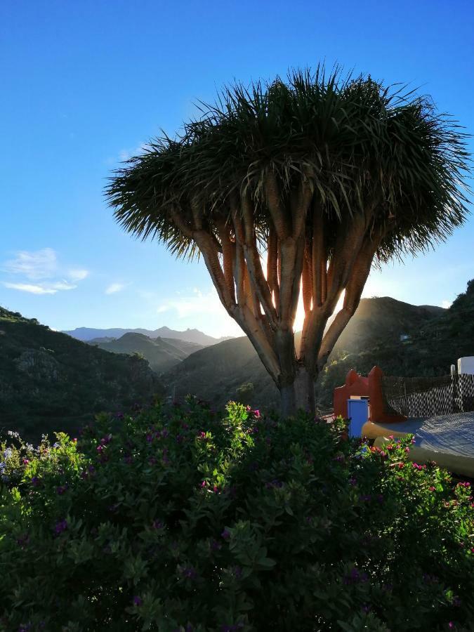 Vivelorural Casa La Cuevita, Santa Brigida 외부 사진
